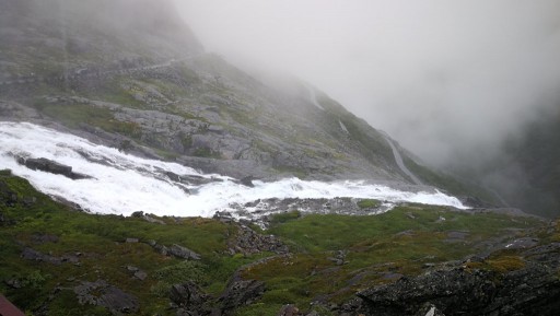 IMG_20200803_144419.jpg